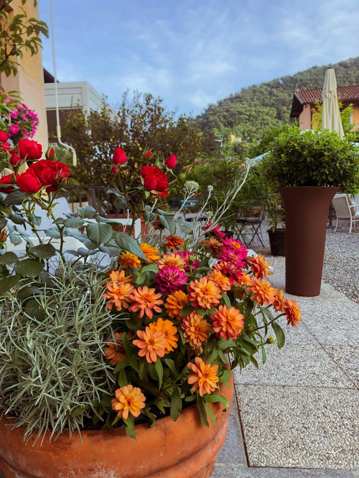 Hotel Antica Stallera Cannobio Exteriér fotografie