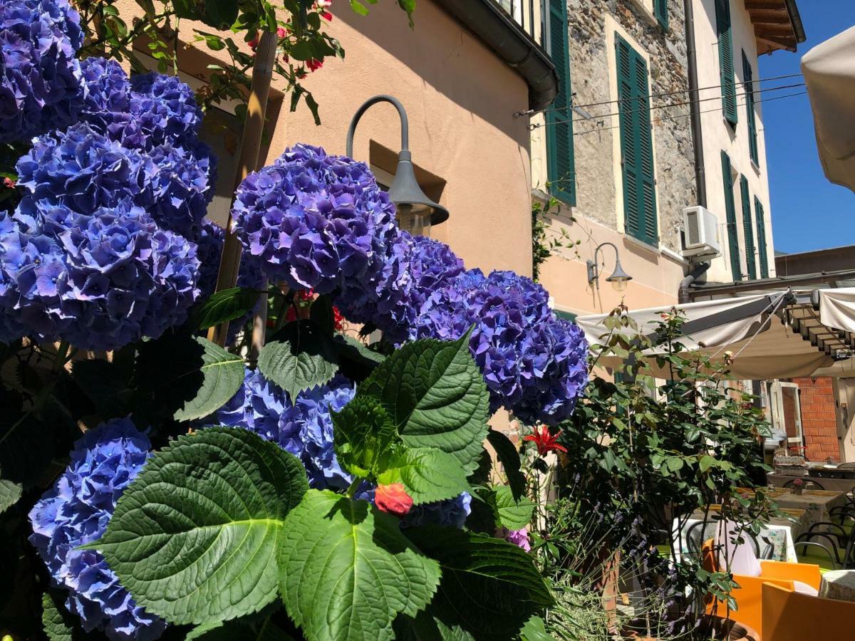 Hotel Antica Stallera Cannobio Exteriér fotografie
